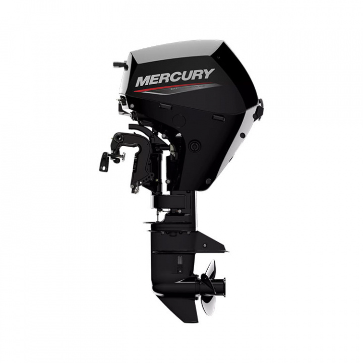 F20 EL 4-Takt 20 hk Lång Rigg 20