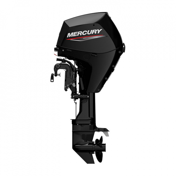 F30 ELHPT EFI 4-Takt 30 hk Lång Rigg 20