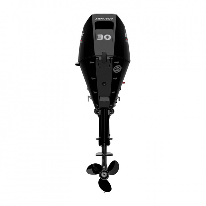 F30 ELHPT EFI 4-Takt 30 hk Lång Rigg 20