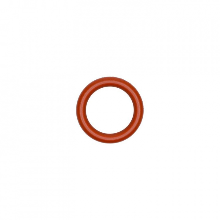O-Ring (201951)