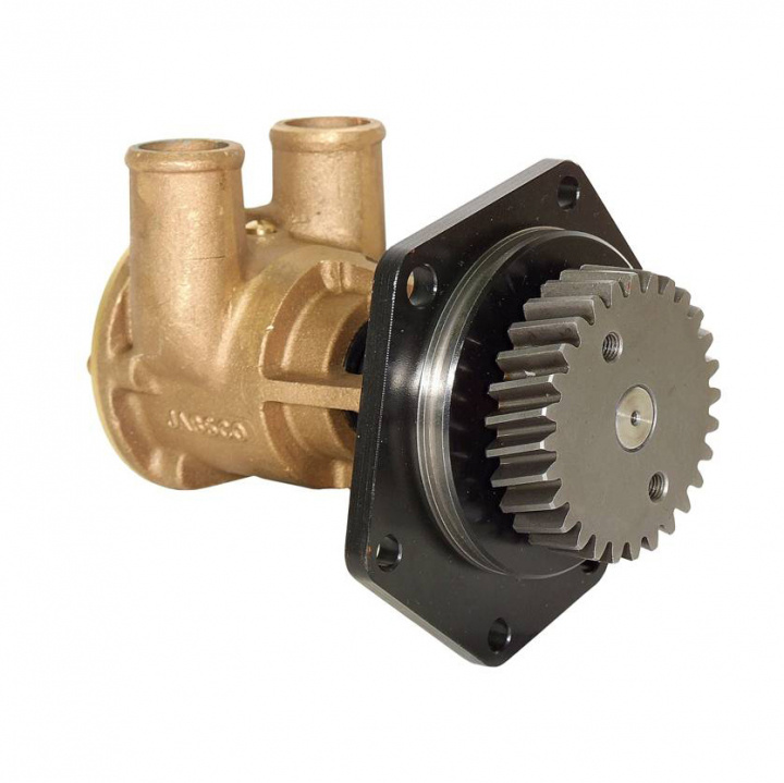 Pump BRZ FLG 080 Hose (Perkins 1000)