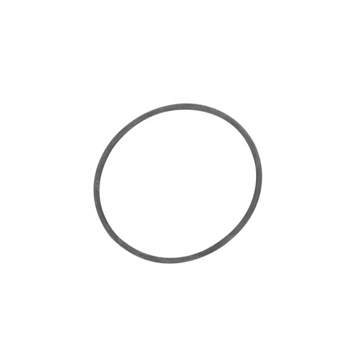 O-Ring (31986)