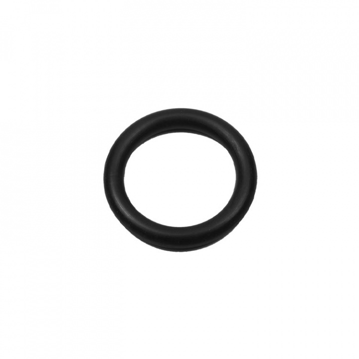O-Ring (35276)