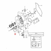 Bult (43691) Bult (43691)