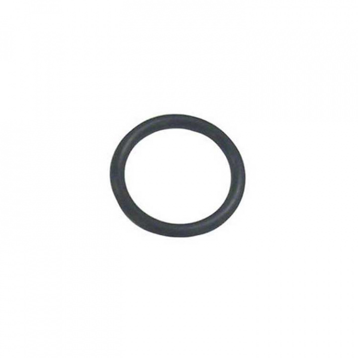 O-Ring (45258)