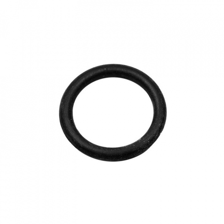 O-Ring (45711)