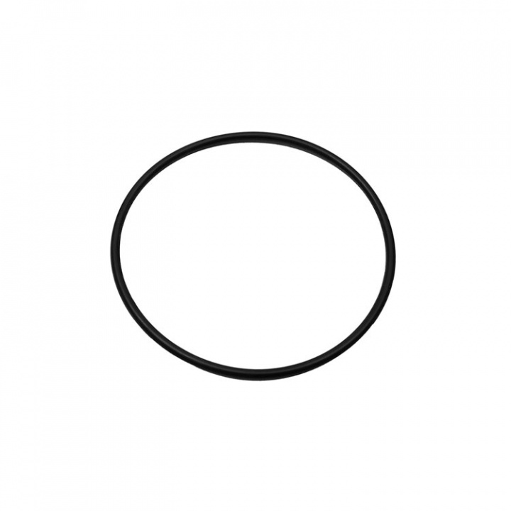 O-Ring (47254)