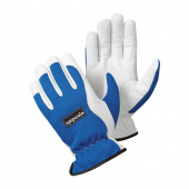 Läderhandske Vinter 217 Läderhandske Vinter 217