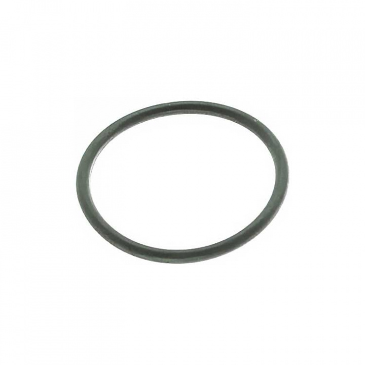 O-Ring (62701)