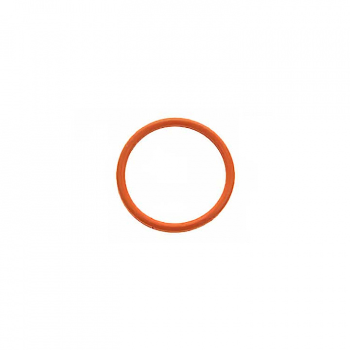 O-Ring (62705001)