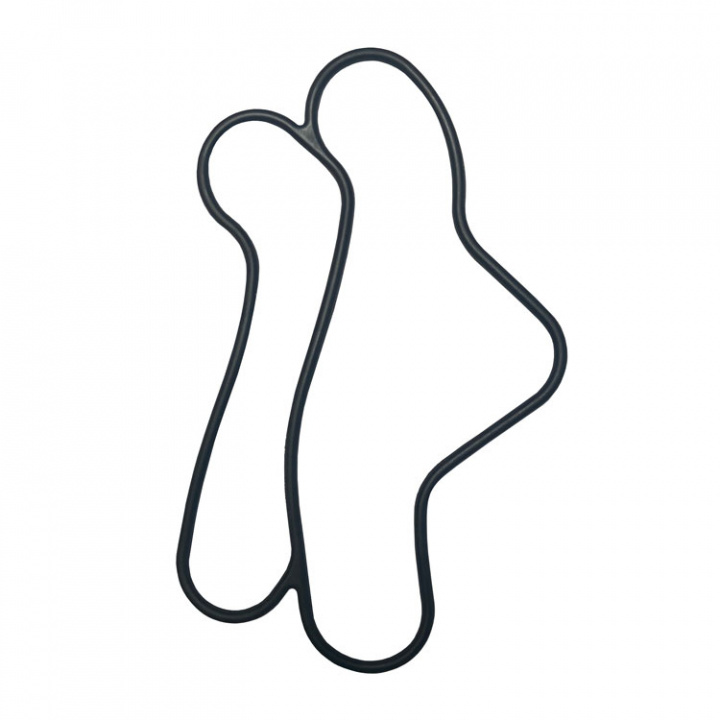 Gasket (6P2134770000)