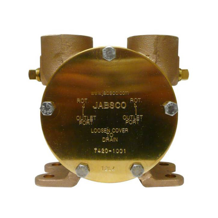 Pump brz ped 200 1 1/4