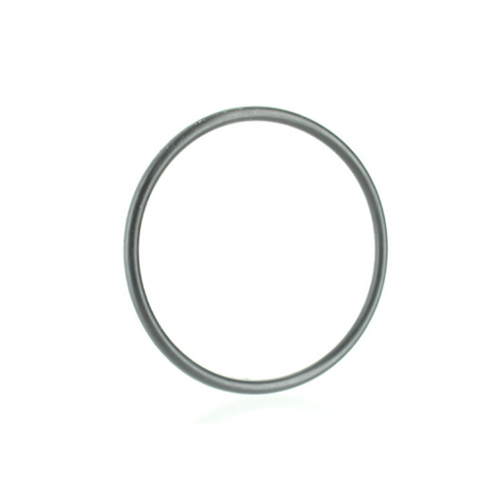 O-Ring (801333412)