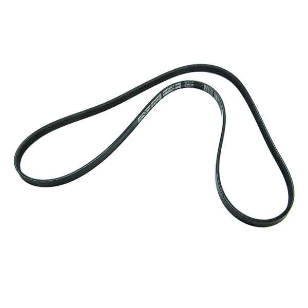 Generatorrem (Belt Flywheel/alternator 828507Q4)