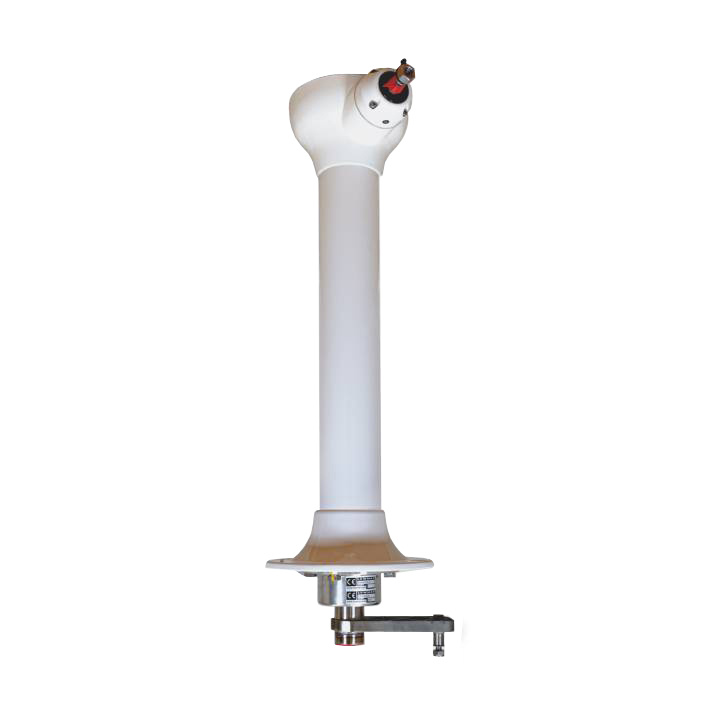 Classic Cobra Cruising