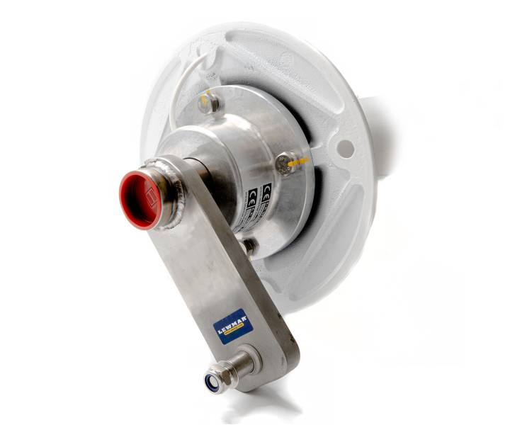 Classic Cobra Cruising