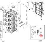Bult Oljetråg (8M0012661) Bult Oljetråg (8M0012661)