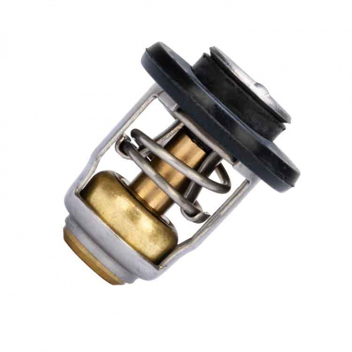 Termostat 8-30hk (8M0119207)