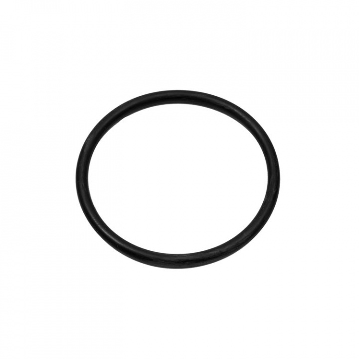 O-Ring (8M0214923)