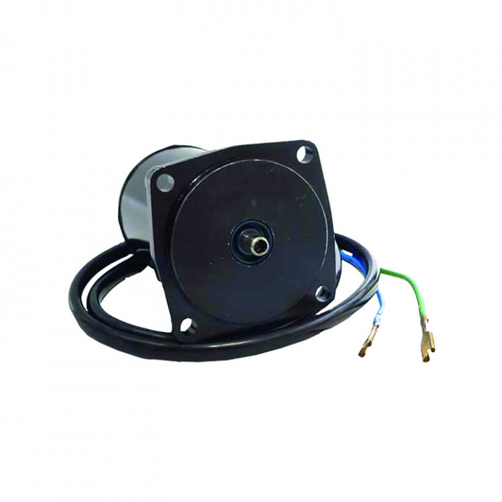 Tilt/Trim Motor Evinrude/Johnson/Honda (8M6014149)