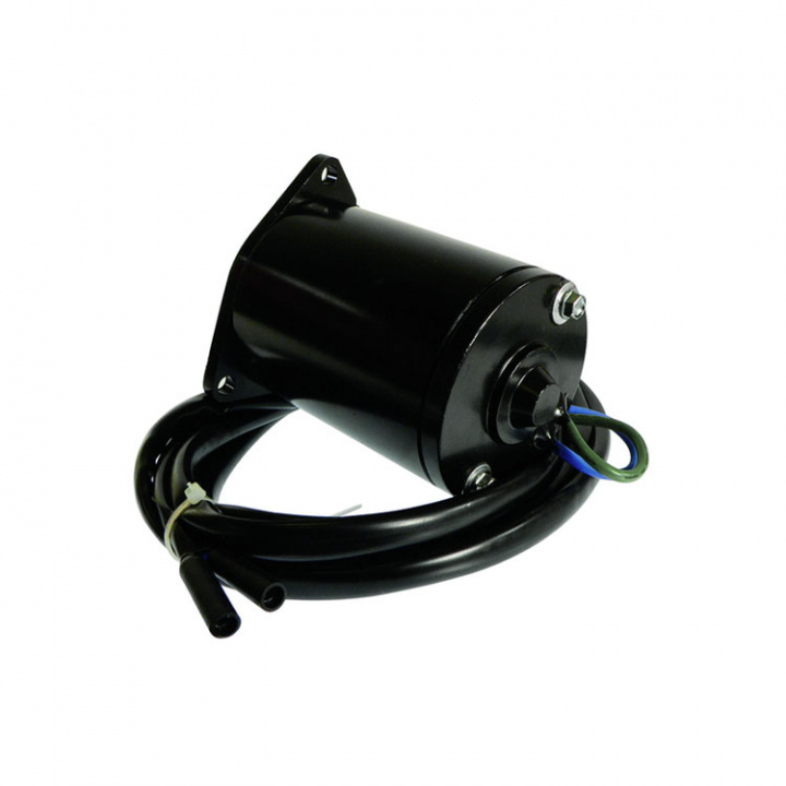 Tilt/Trim Motor Yamaha (8M6007570)