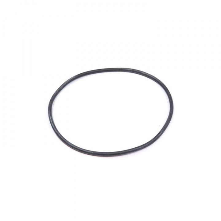 O-Ring (925257)