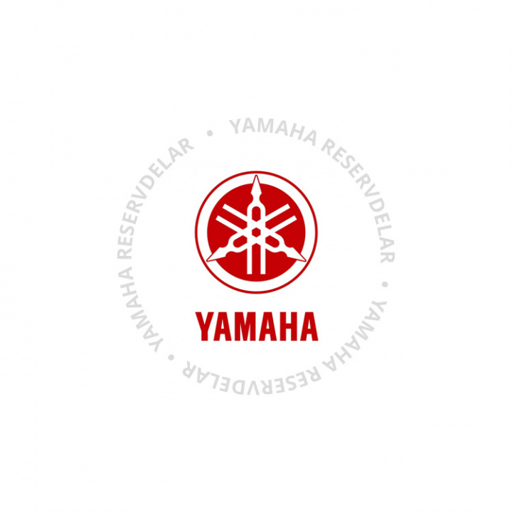 Starter Assembly (999990446100)