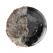 Foulfree Kit 15ml Foulfree Kit 15ml