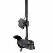 Mega Live Imaging Mega Live Imaging