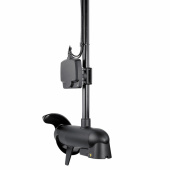 Mega Live Imaging Mega Live Imaging